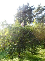 TN_SAM_4959_Paolo amarcord.JPG